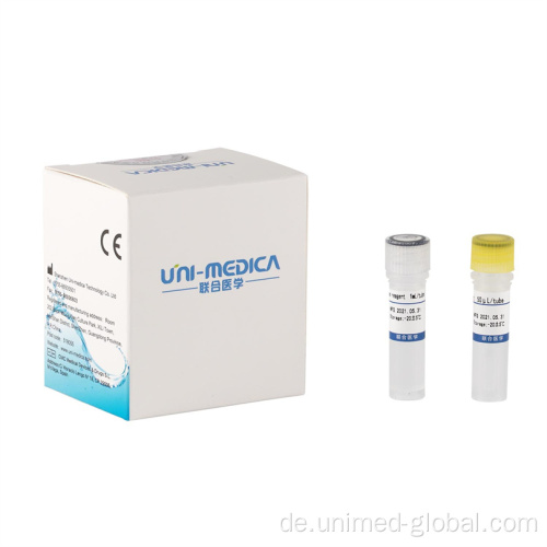 DNA -RNA -Probe Freisetzung Kit